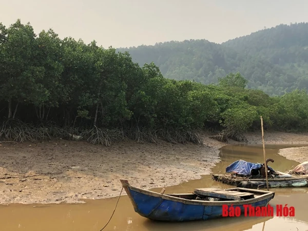 Lá chắn xanh của biển
