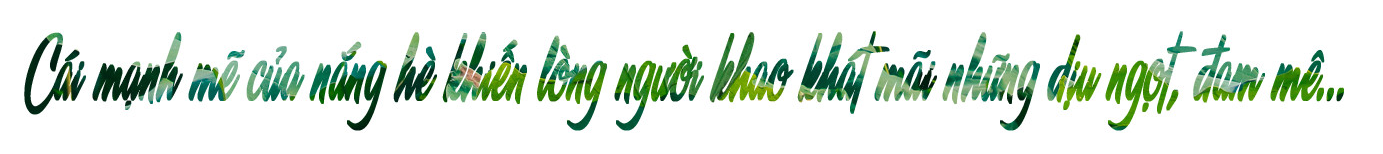 Ru hoa sen