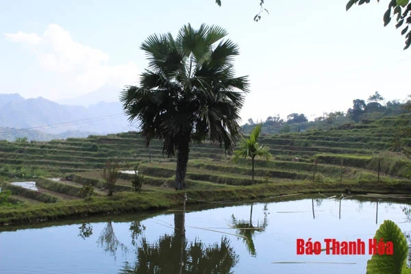 Chàng thanh niên miền núi khởi nghiệp từ du lịch cộng đồng