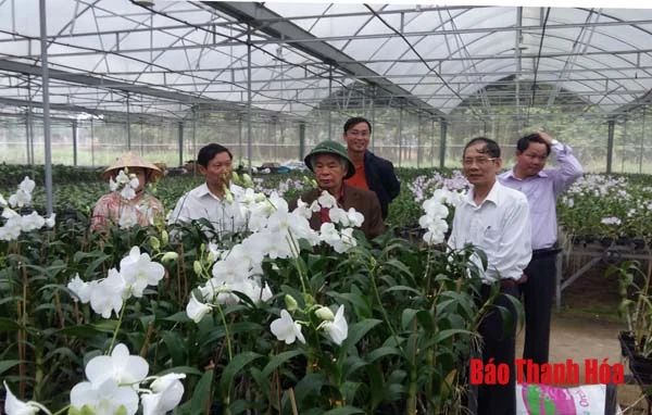 Tập hợp, phát huy đội ngũ trí thức khoa học và công nghệ trong thời kỳ đẩy mạnh CNH, HĐH quê hương, đất nước