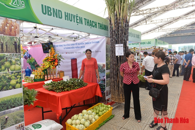 Hội tụ các sản phẩm nông sản an toàn