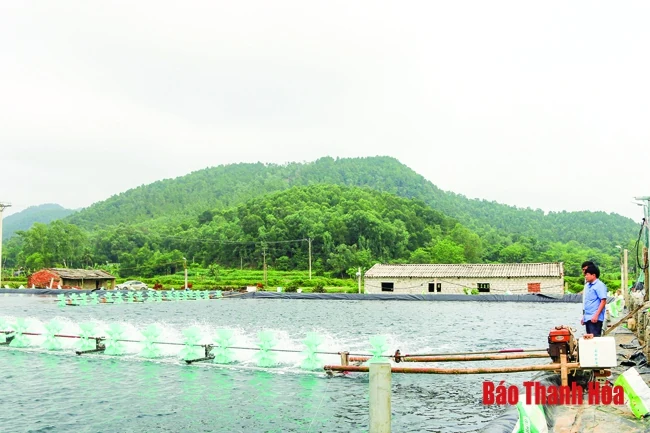 Huyện Hoằng Hóa: 6 tháng, tổng sản lượng khai thác, nuôi trồng thủy sản tăng 7,1% so với cùng kỳ