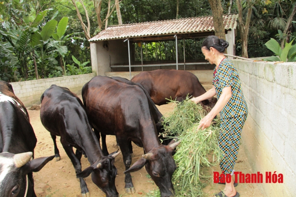 Quan tâm phát triển kinh tế hộ tại khu vực miền núi