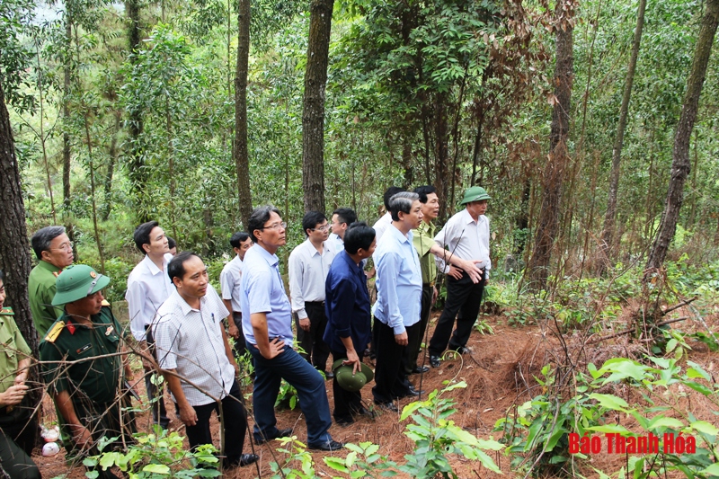 Huyện Hà Trung cần đẩy mạnh hơn nữa các biện pháp bảo vệ rừng, phòng cháy, chữa cháy rừng