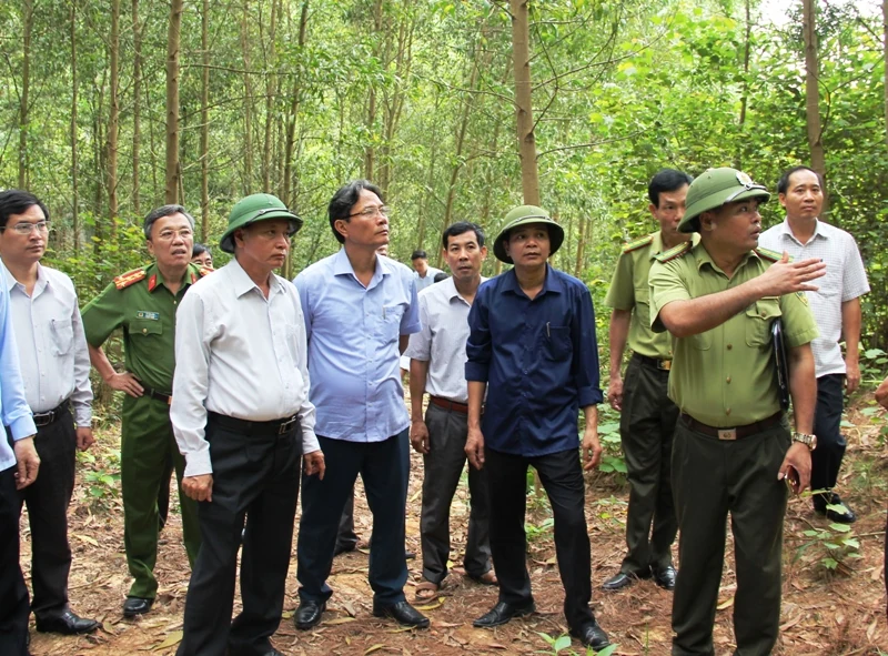 Huyện Hà Trung cần đẩy mạnh hơn nữa các biện pháp bảo vệ rừng, phòng cháy, chữa cháy rừng