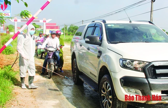 Vẫn còn 259 xã đang còn bệnh dịch tả lợn châu Phi