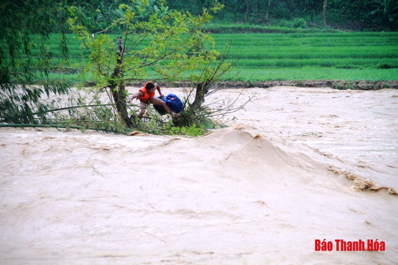 Người hùng cứu người trong cơn lũ