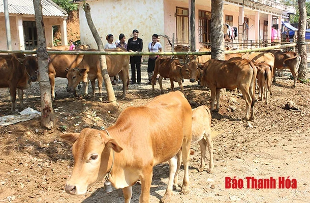 Nhiều chỉ tiêu thực hiện nghị quyết đại hội đại biểu phụ nữ các cấp đạt và vượt kế hoạch