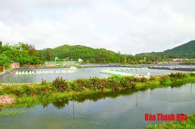 Khó khăn trong đầu tư cơ sở hạ tầng phát triển nuôi trồng thủy sản