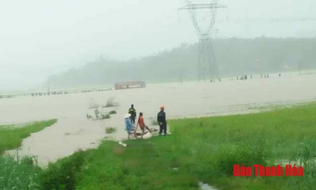 Mưa lớn do bão số 4 gây ngập lụt, thiệt hại ở nhiều nơi