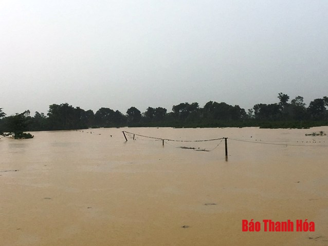 Huyện Thọ Xuân: Hàng nghìn hộ dân xã Quảng Phú bị chia cắt vì nước sông Cầu Chày dâng cao