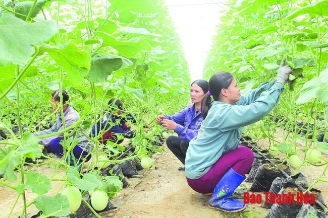 Thọ Xuân tập trung xây dựng huyện nông thôn mới