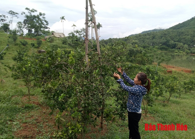 Người cán bộ hội năng động, nhiệt tình, tích cực phát triển kinh tế