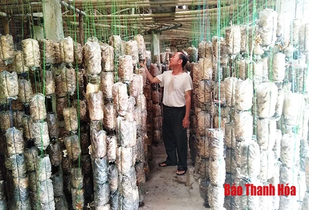 Phát huy vai trò Dân vận trong xây dựng nông thôn mới ở xã Thọ Thế