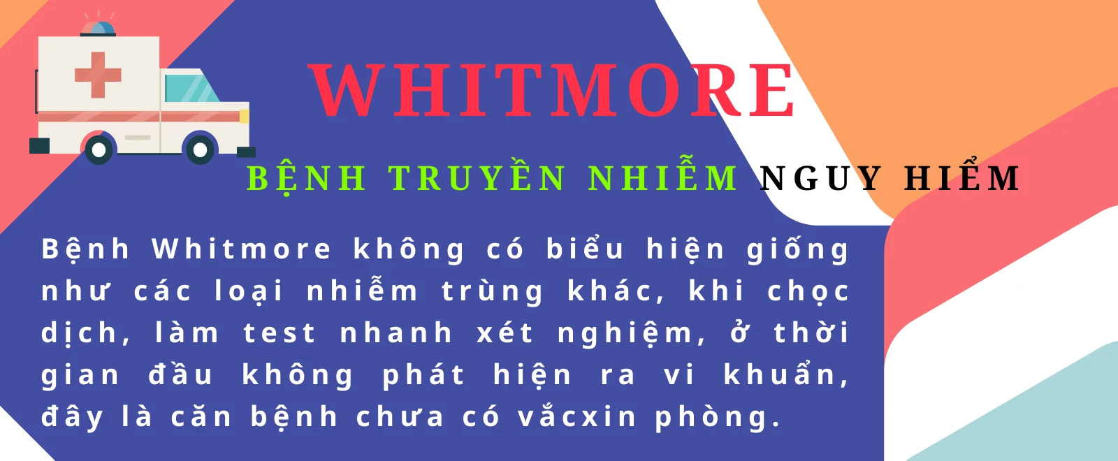 [Infographics] - Bệnh truyền nhiễm nguy hiểm Whitmore - Những điều cần biết