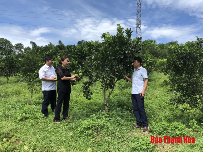 Đảng bộ huyện Lang Chánh nâng cao năng lực lãnh đạo, sức chiến đấu của tổ chức cơ sở đảng