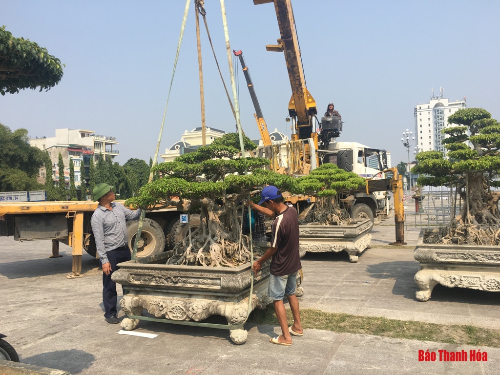 TP Thanh Hóa: Chuẩn bị khai mạc festival sinh vật cảnh lần thứ 3