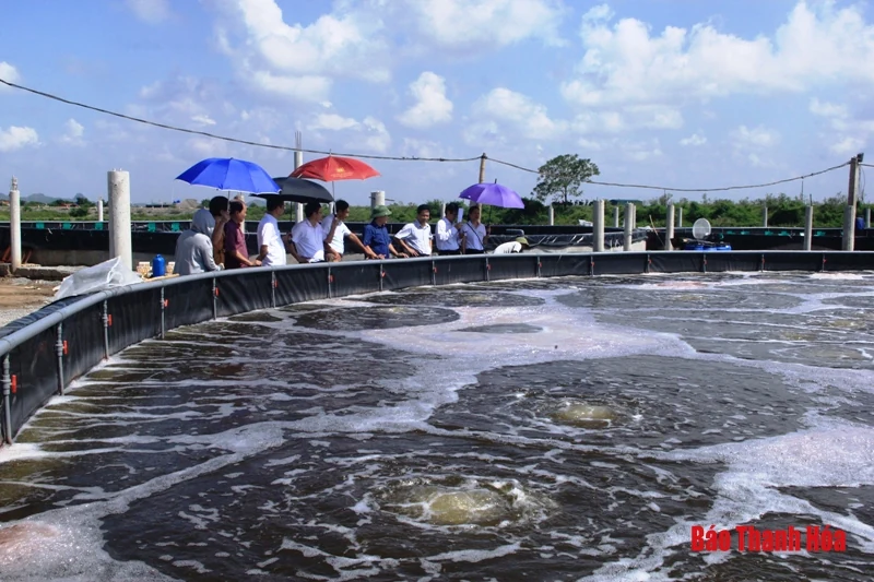 Thẩm định đạt chuẩn Nông thôn mới cho 6 xã của huyện Nga Sơn