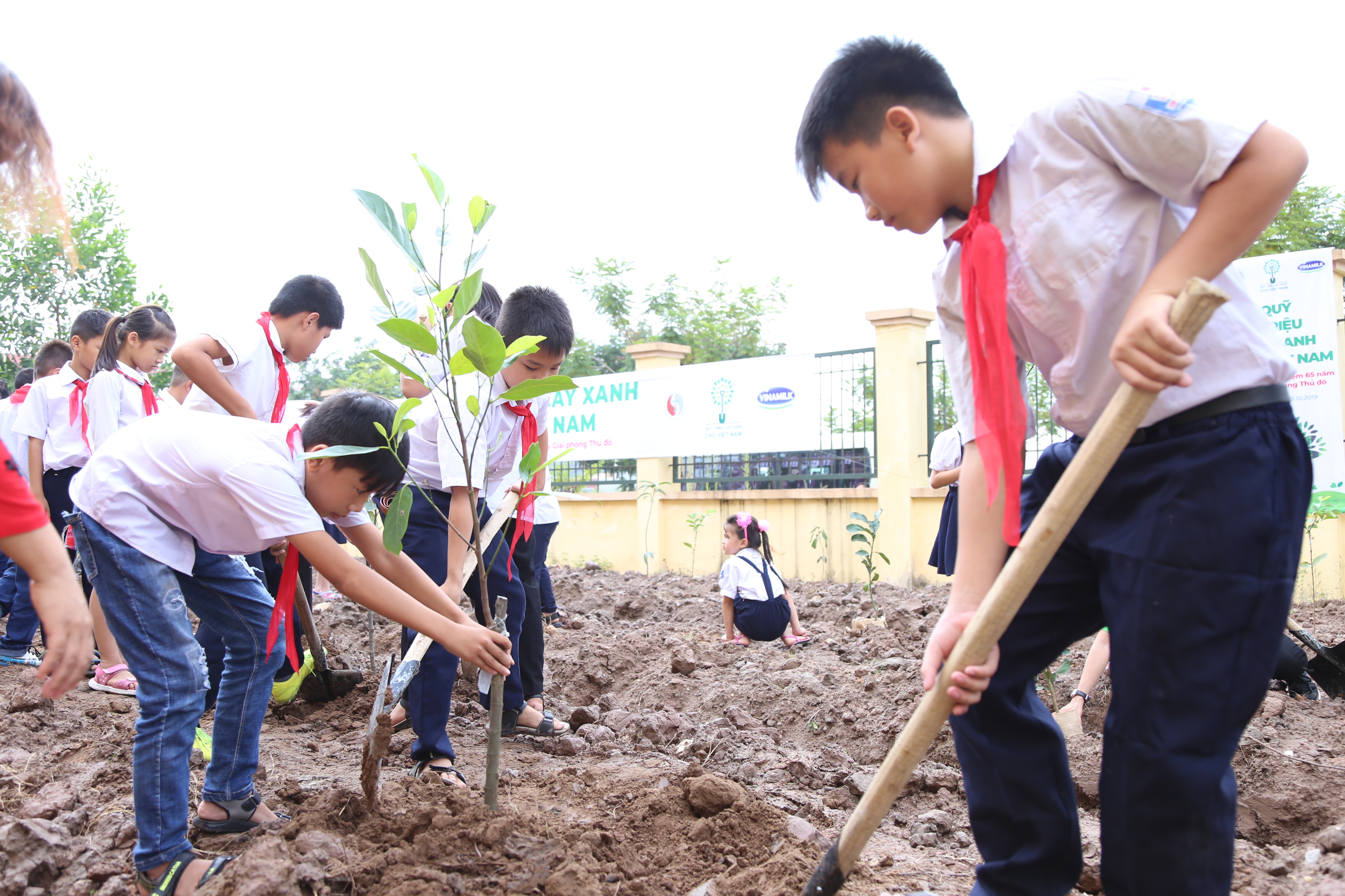 Chào mừng 65 năm Ngày Giải phòng Thủ Đô: Vinamilk cùng Quỹ 1 triệu cây xanh cho Việt Nam và Quỹ sữa Vươn cao Việt Nam tổ chức các hoạt động ý nghĩa cho trẻ em thủ đô.