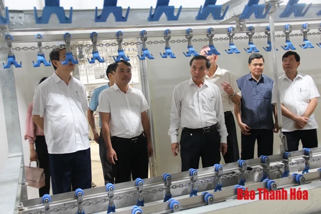 Khẩn trương hoàn thiện các hạng mục để khánh thành Nhà máy giết mổ - chế biến gia cầm xuất khẩu Viet Avis