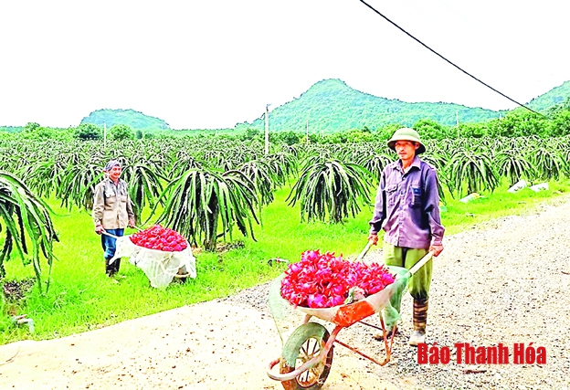 Bài 3: Nhân lên những mô hình phát triển sản xuất hiệu quả