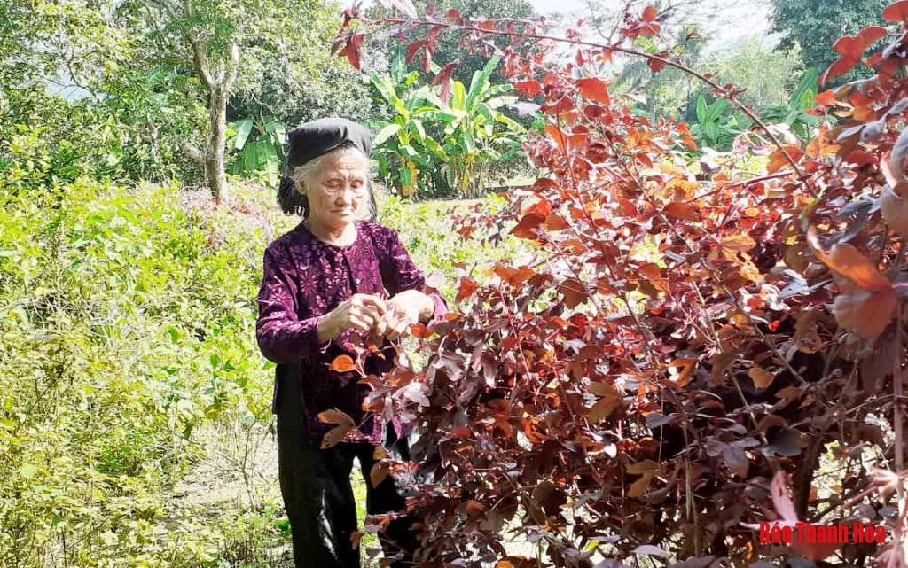 Chủ tịch UBND tỉnh Thanh Hóa tặng Bằng khen cho cụ bà xin thoát nghèo
