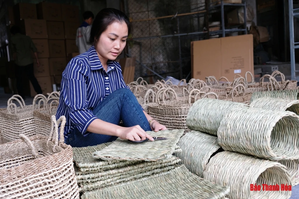 Độc đáo những sản phẩm mỹ nghệ làm từ cói, bèo tây
