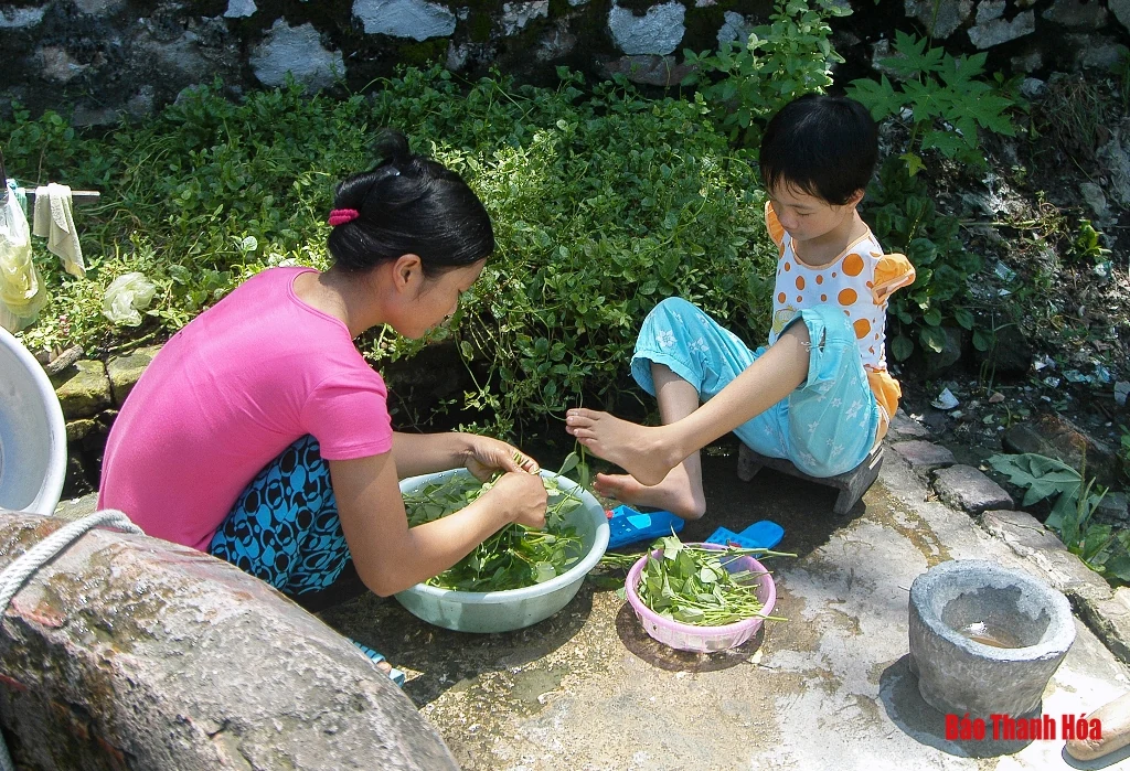Hành trình của Thắm