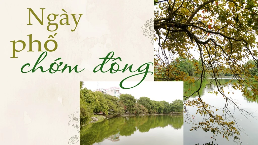 Ngày phố chớm Đông