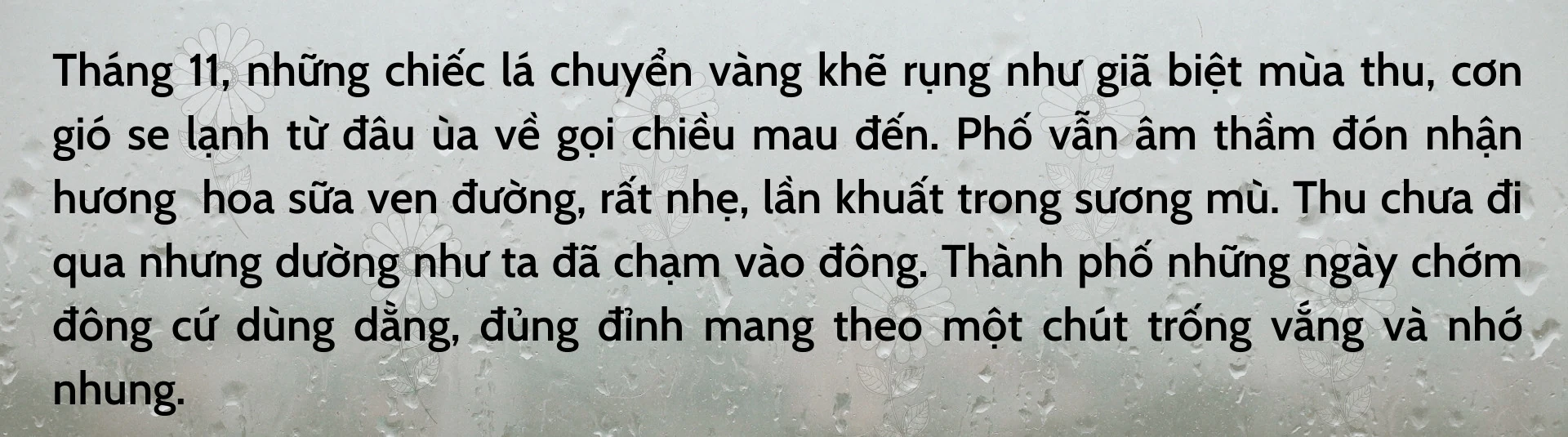 Ngày phố chớm Đông
