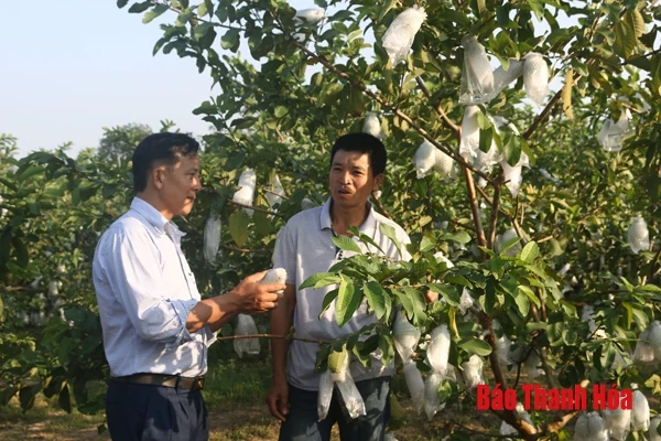 Hoằng Châu vươn mình mạnh mẽ