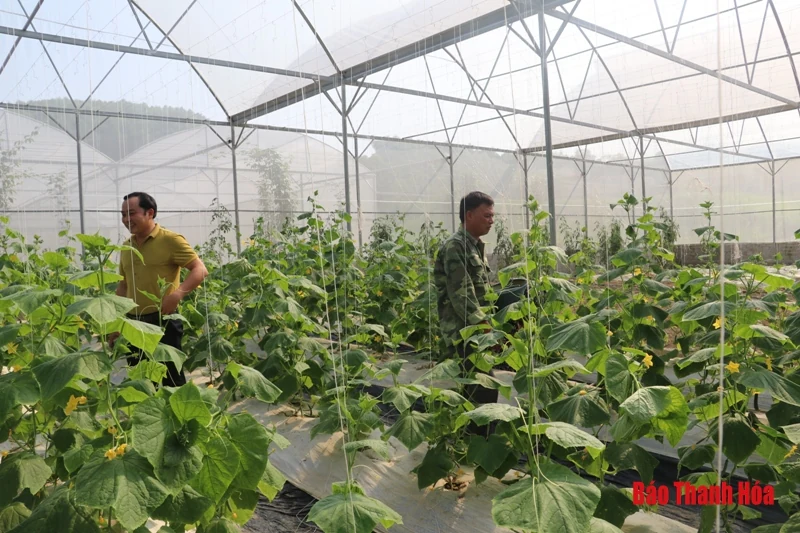 Công nhận 2 xã đạt chuẩn nông thôn mới nâng cao