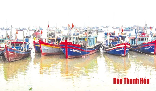 Đội cứu hộ trên biển - điểm tựa của ngư dân