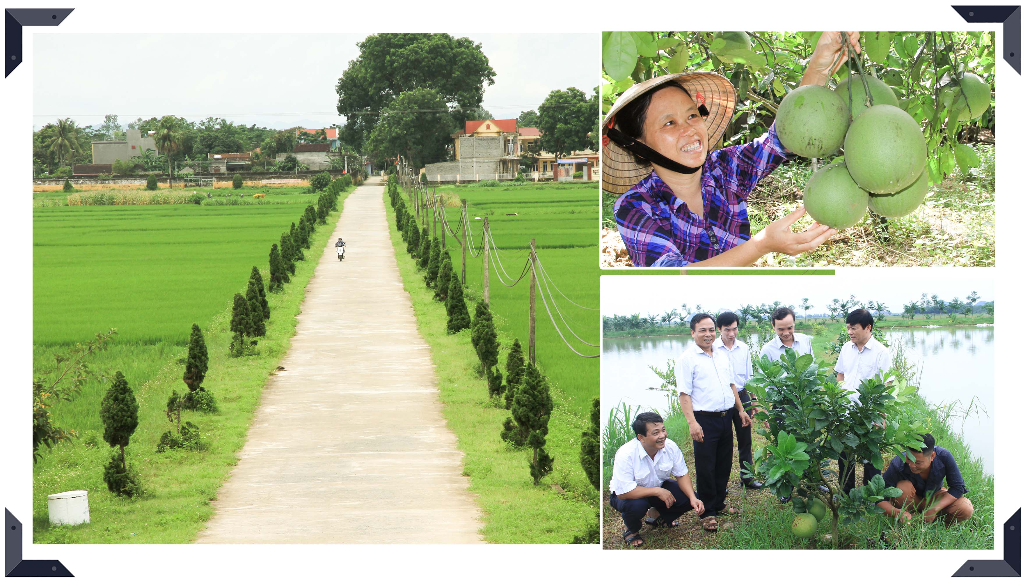 [E-Magazine] - Đồng thuận nhà cái m88 lớn