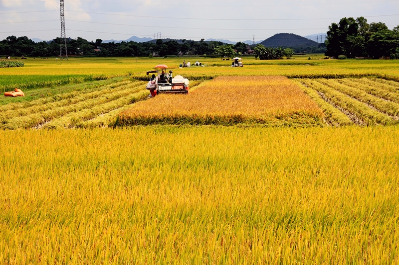 Quyết tâm hơn nữa, quyết liệt hơn nữa để tăng tốc về đích thực hiện thắng lợi Nghị quyết Đại hội Đảng bộ các cấp đề ra