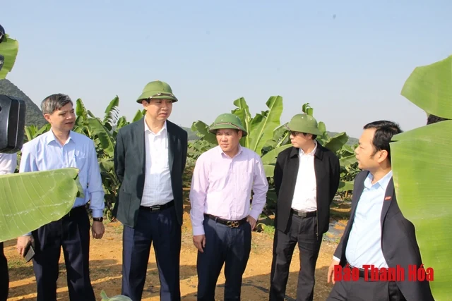 Đoàn công tác của Sở NN&PTNT làm việc với Công ty CP thực phẩm xuất khẩu Đồng Giao