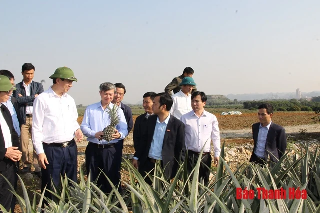 Đoàn công tác của Sở NN&PTNT làm việc với Công ty CP thực phẩm xuất khẩu Đồng Giao