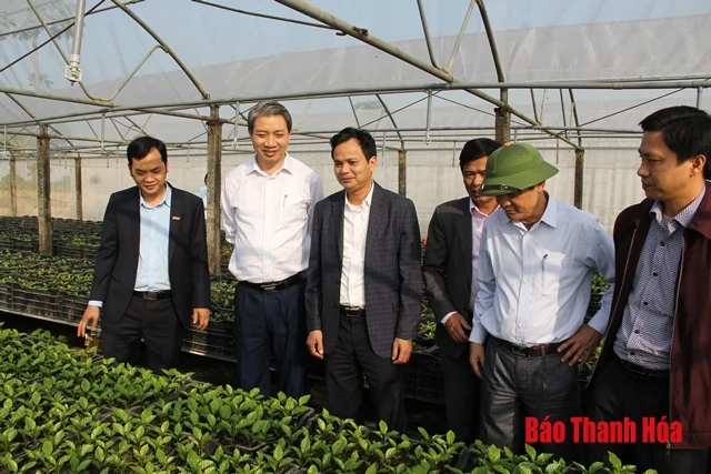 Đoàn công tác của Sở NN&PTNT làm việc với Công ty CP thực phẩm xuất khẩu Đồng Giao