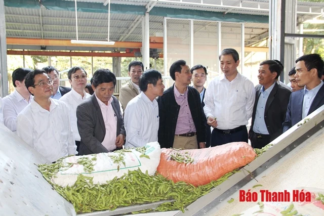 Đoàn công tác của Sở NN&PTNT làm việc với Công ty CP thực phẩm xuất khẩu Đồng Giao
