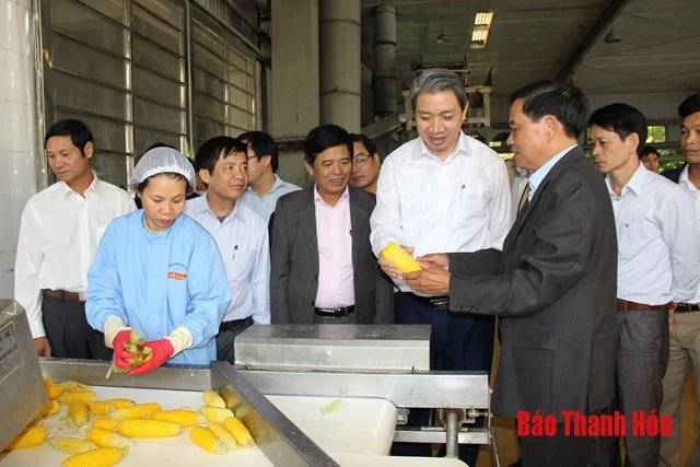 Đoàn công tác của Sở NN&PTNT làm việc với Công ty CP thực phẩm xuất khẩu Đồng Giao