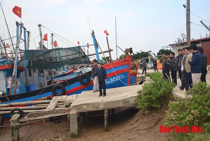 Sớm xử lý dứt điểm vi phạm trên các tuyến đê Hậu Lộc