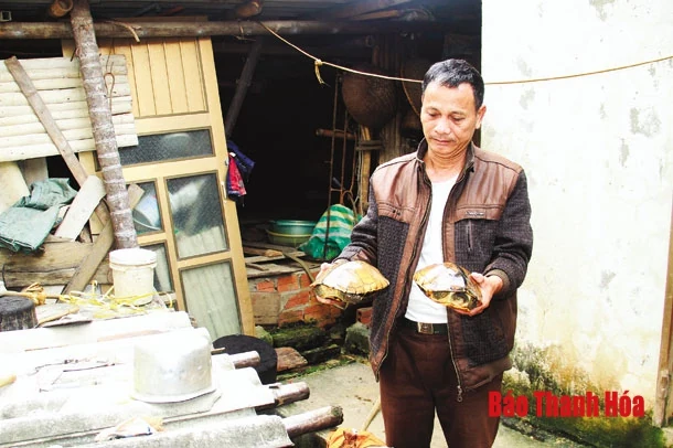 Khó khăn trong tiêu thụ khiến người nuôi rùa câm lao đao