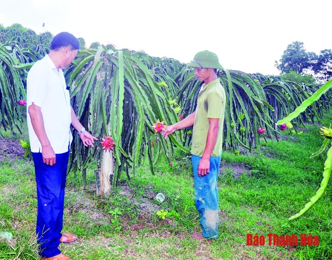 Đảng bộ huyện Như Thanh chuẩn bị các điều kiện tổ chức đại hội đảng các cấp