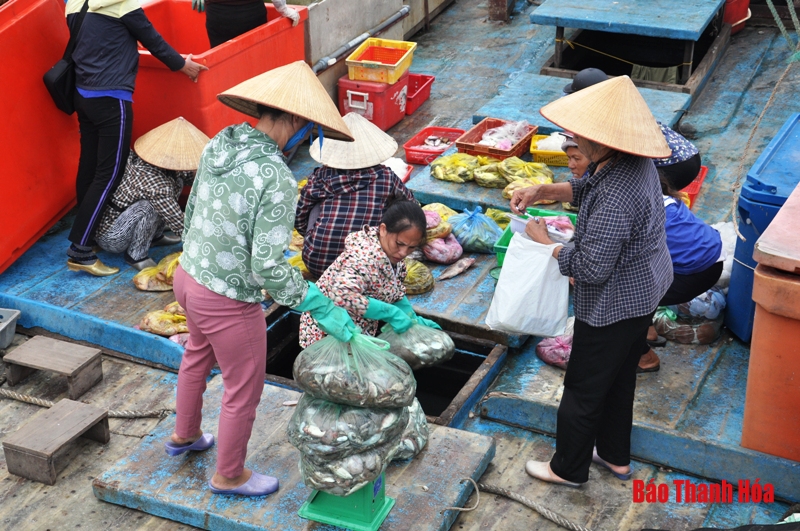 Cảng cá Lạch Hới những ngày cuối năm