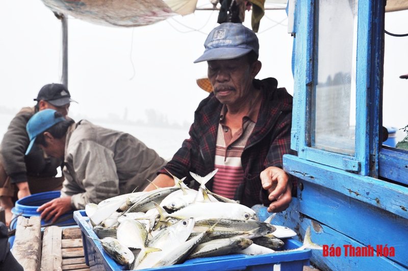 Cảng cá Lạch Hới những ngày cuối năm