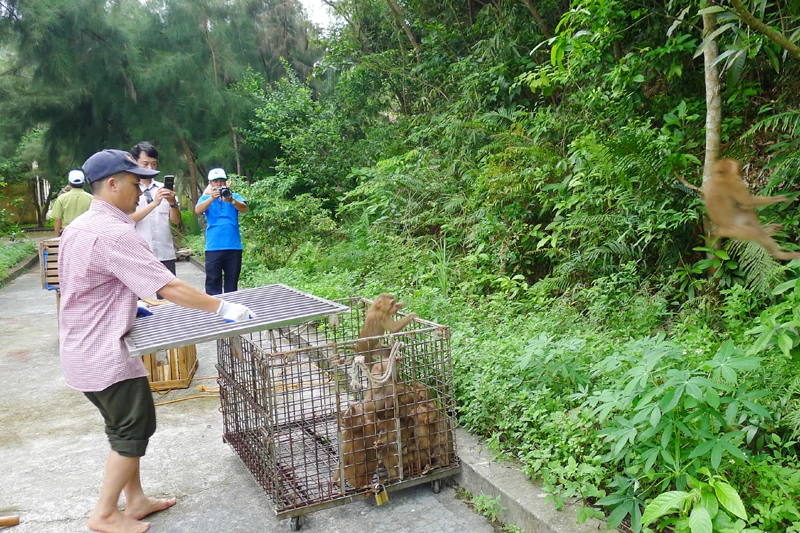 Tăng cường kiểm soát việc thực thi pháp luật trong công tác bảo tồn đa dạng sinh học