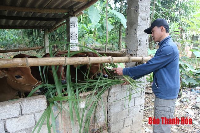 Công tác xóa đói, giảm nghèo ở xã Phú Nghiêm