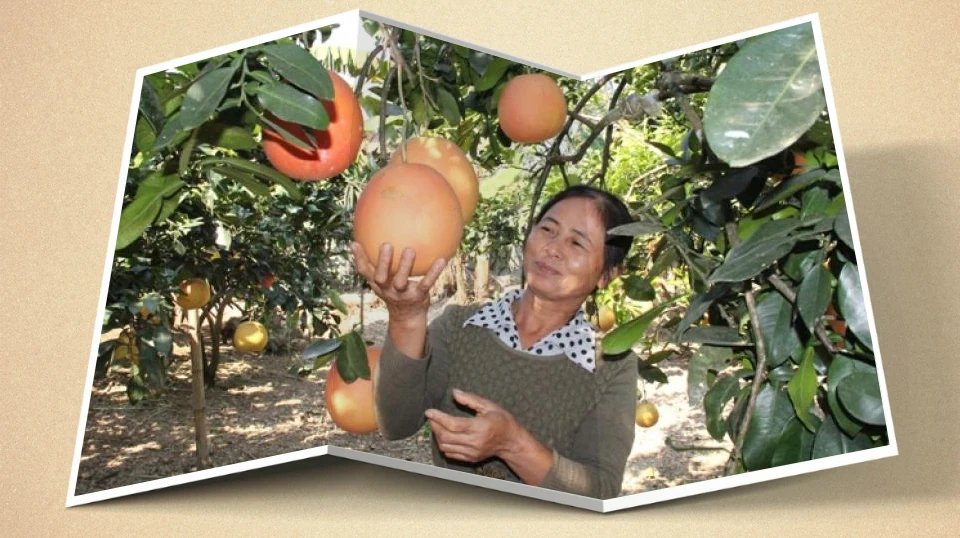 [E-Magazine] - dang nhap m88 Tết