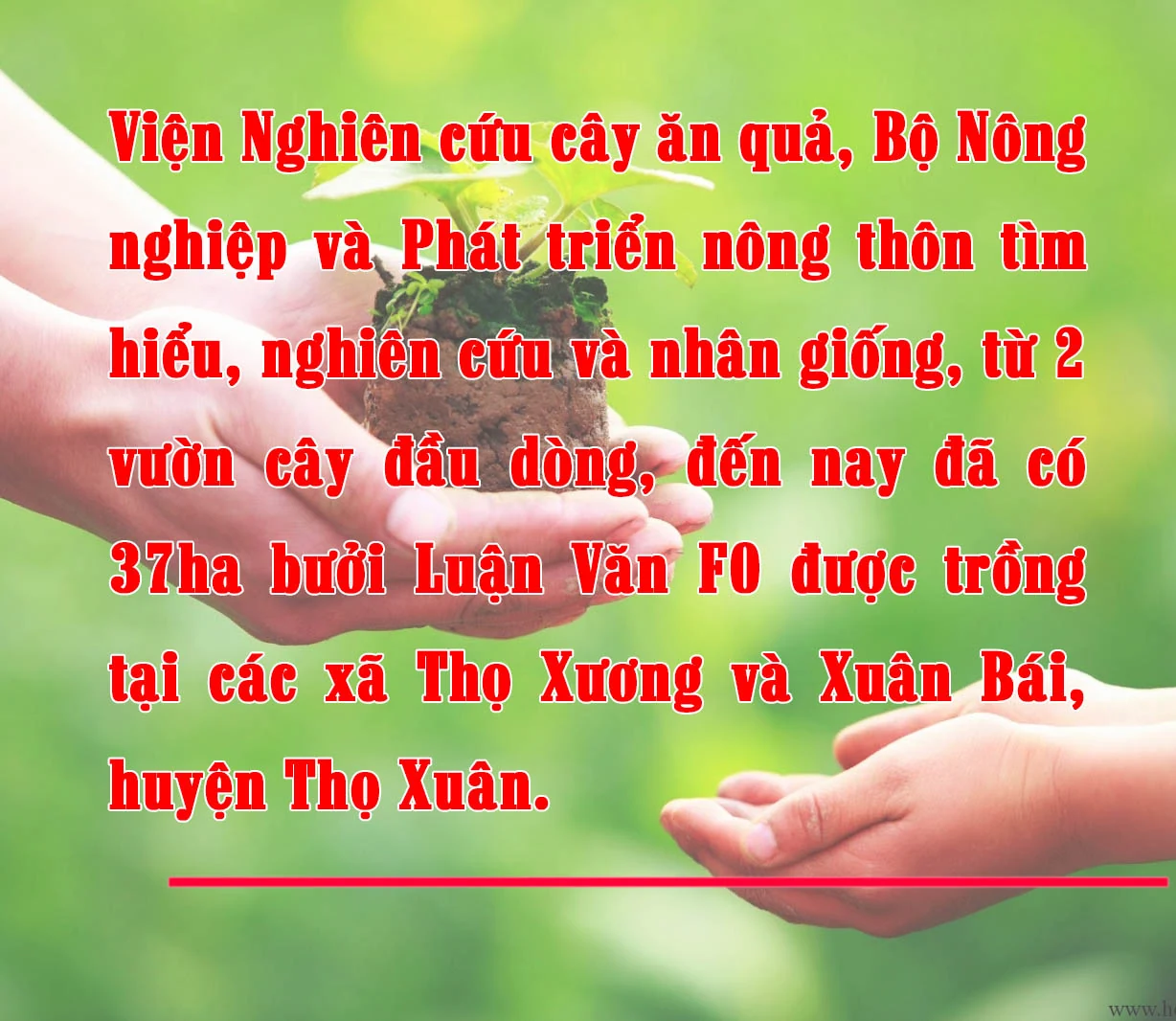 [E-Magazine] - dang nhap m88 Tết