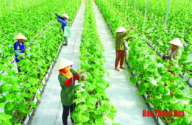 Chủ tịch UBND tỉnh: Phấn đấu hoàn thành xuất sắc nhiệm vụ phát triển kinh tế - xã hội năm 2020